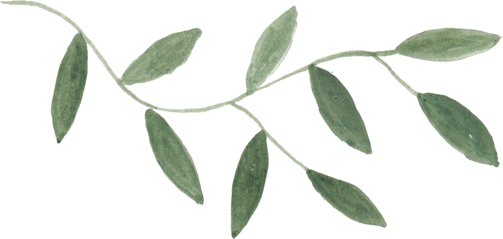 Green Leaves Watercolor Illustration